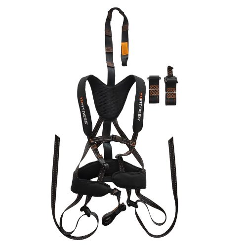 Standard Safety Harness