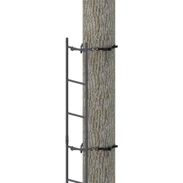 20' Connected Tree Ladder