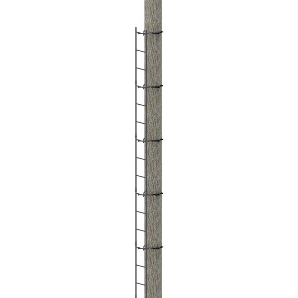 20' Connected Tree Ladder
