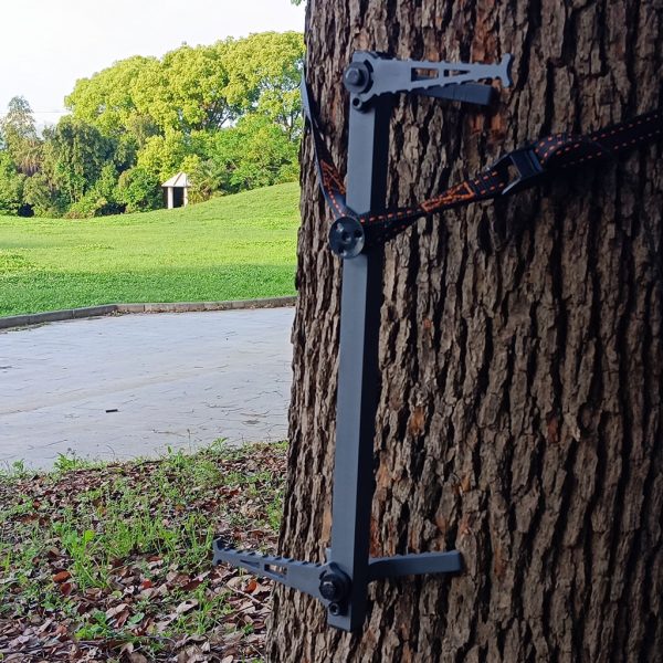 Fish Climbing Sticks