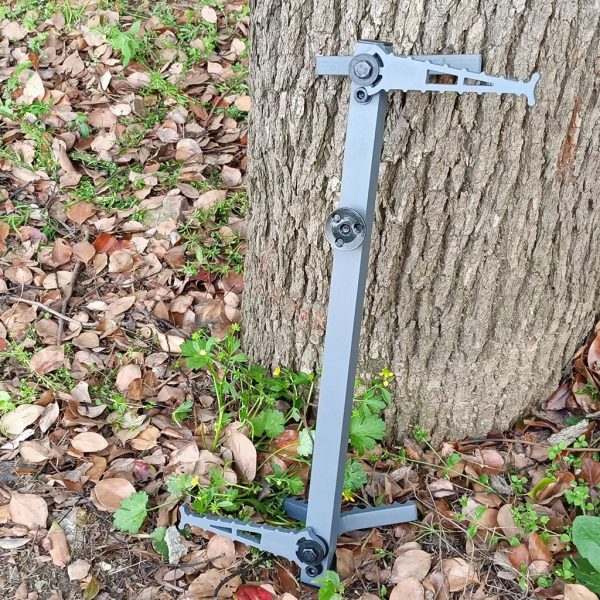 Fish Climbing Sticks