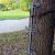 Three Double-Step Climbing Sticks