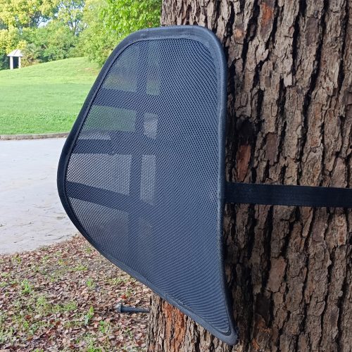 Spring Back Lumbar Support