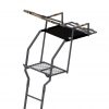 17FT Compact Ladder Tree Stand